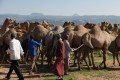 Etiopia viaggio