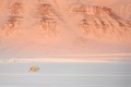 Svalbard avventura