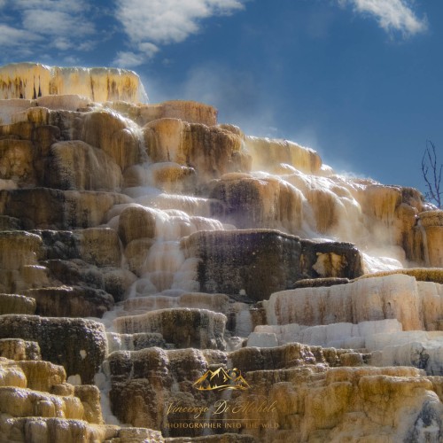 Yellowstone