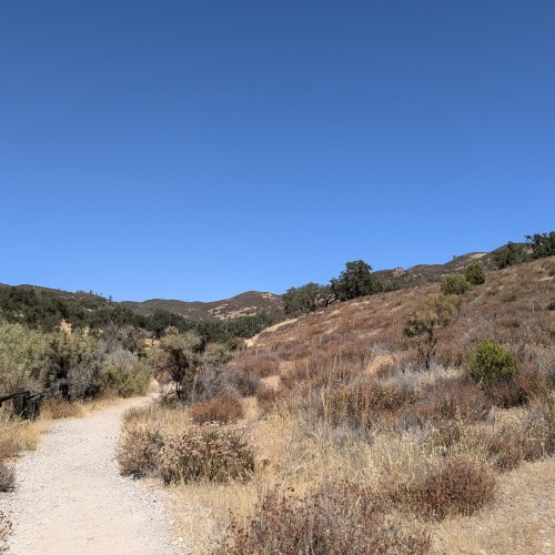 Chaparral, vegetazione tipica della California