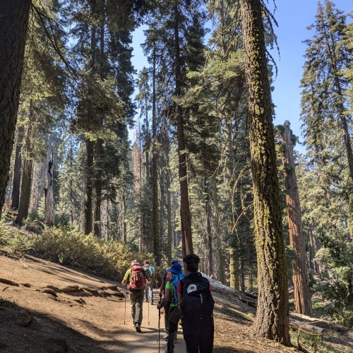 Escursione nel Sequoia NP