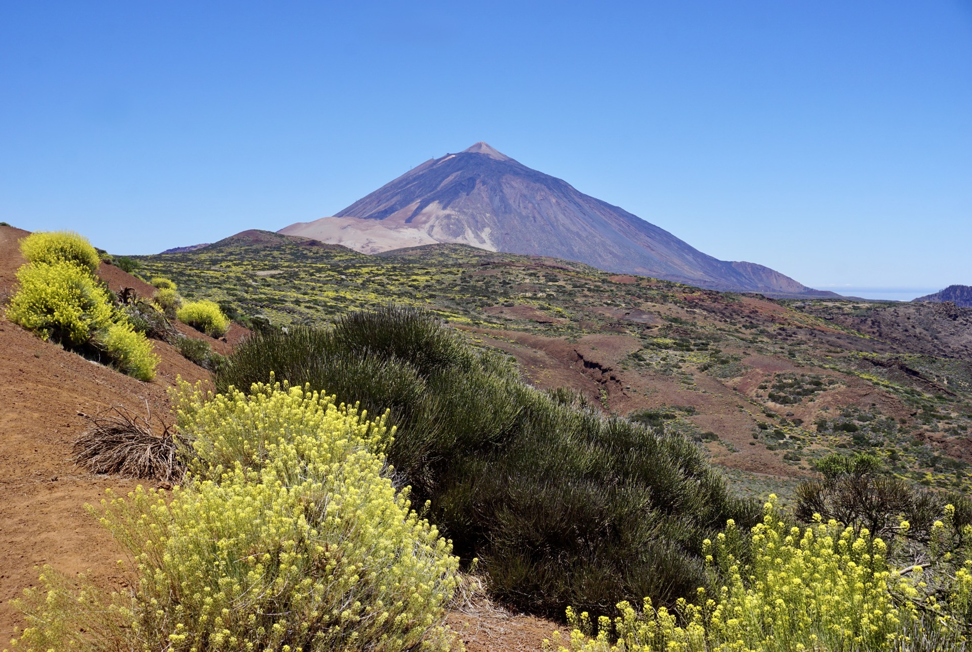 Teide in primavera