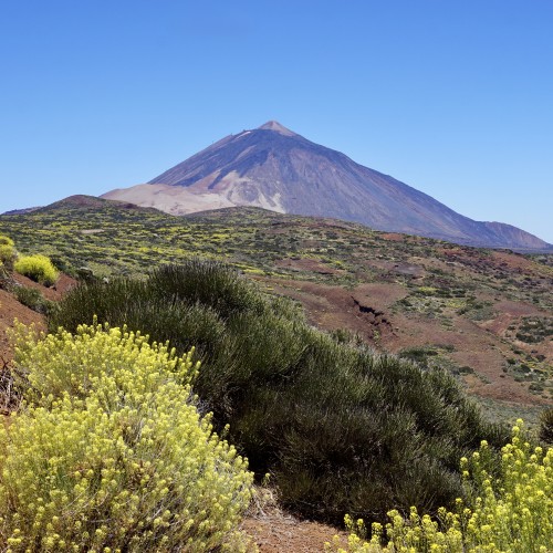 Teide in primavera