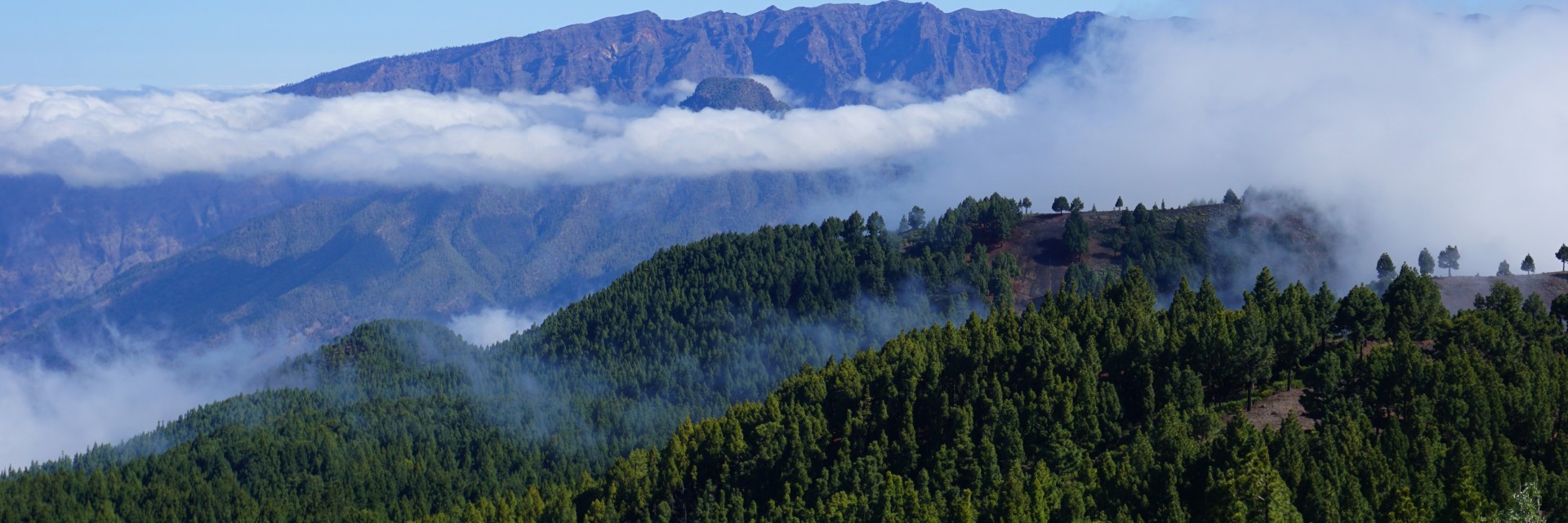 Caldera del taburiente