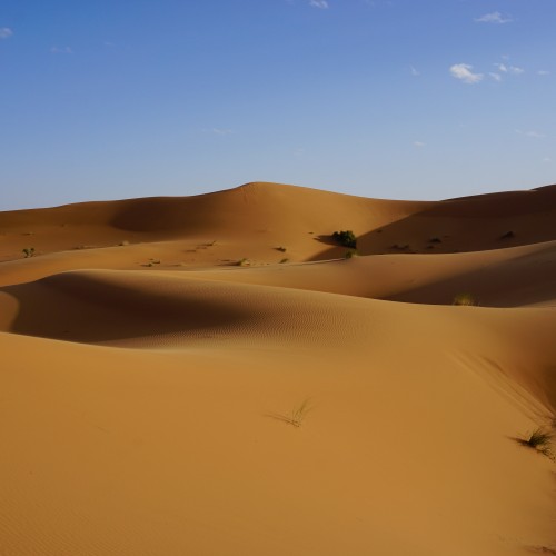 Erg Chebbi
