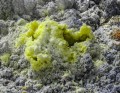 sulfur crystals