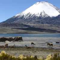 Cile & Bolivia