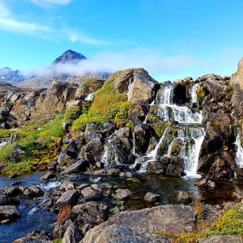 valle dei fiori Tasiilaq
