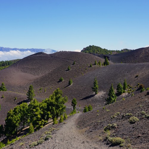 La Palma