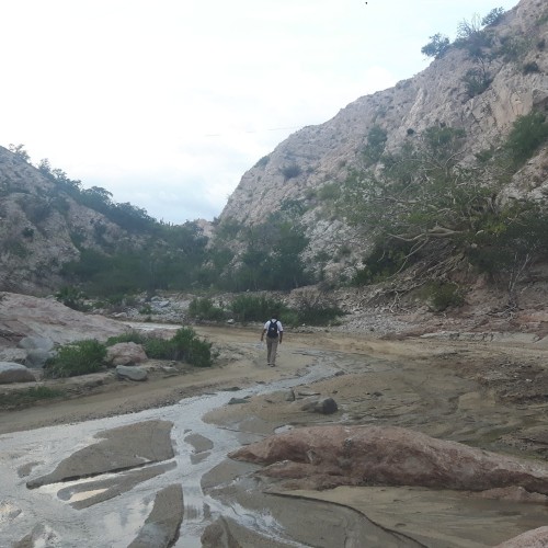 Baja california canyon SJD