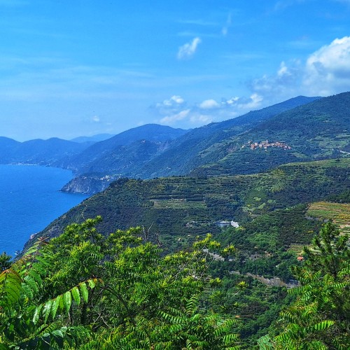 Vista 5 Terre 