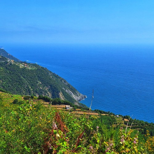 Vista da Riomaggiore