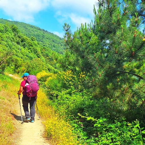 Sentiero da Riomaggiore