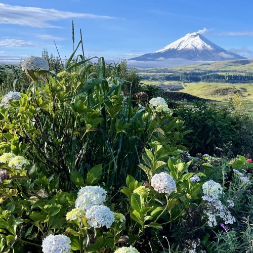 Ecuador