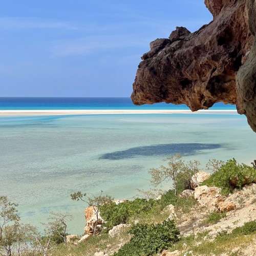 socotra