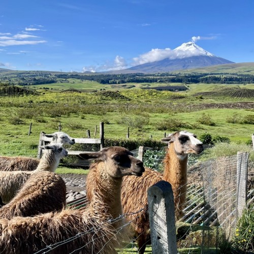 Ecuador