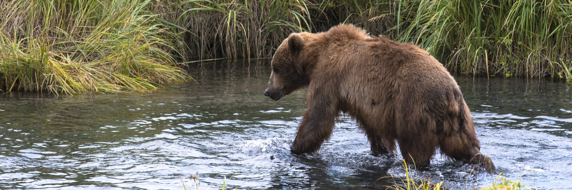 Alaska