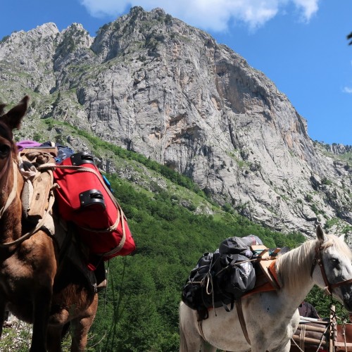 Albania