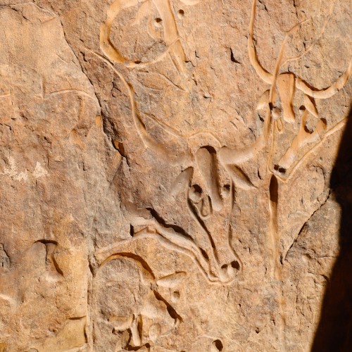 Tassili
