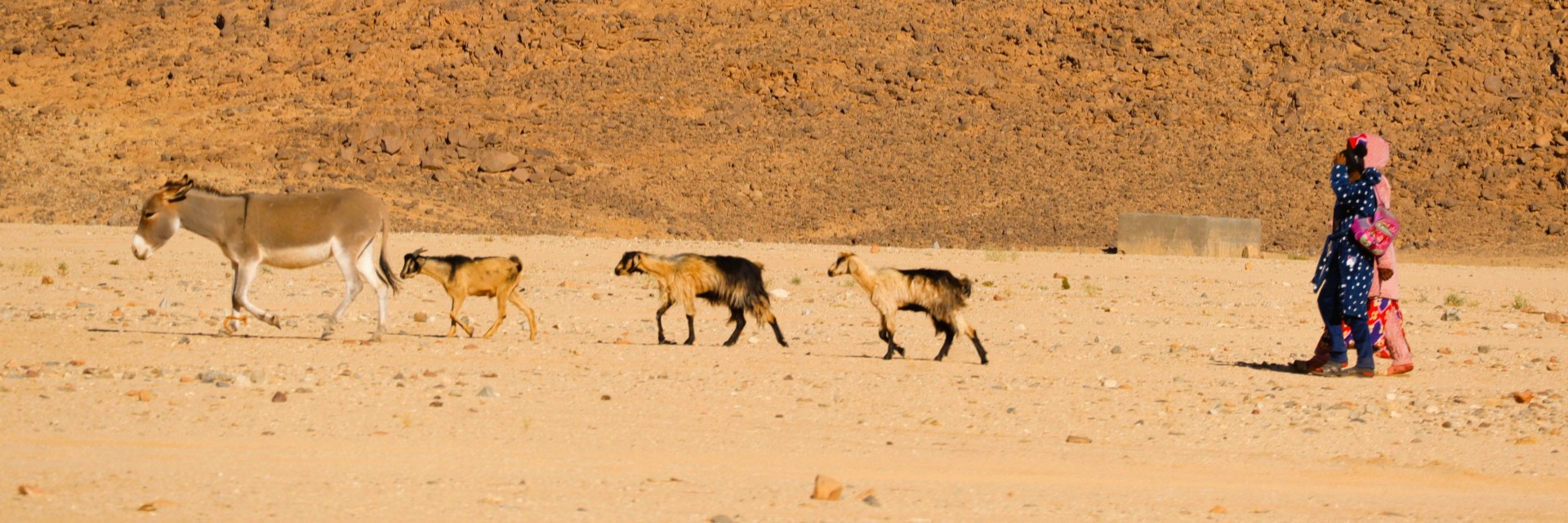 Tassili
