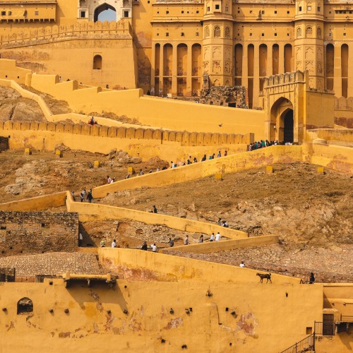 Amer fort Jaipur