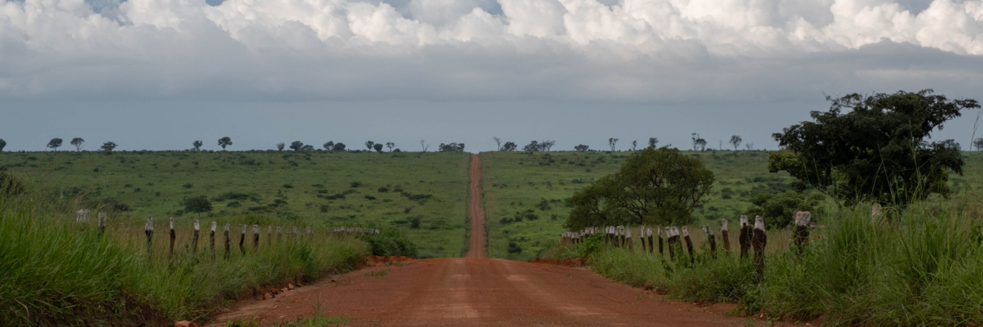 Angola 