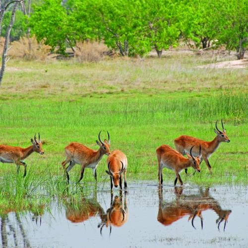 Botswana