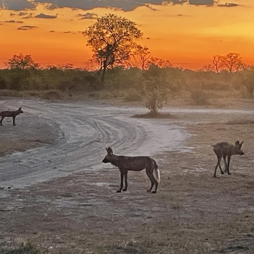 Botswana