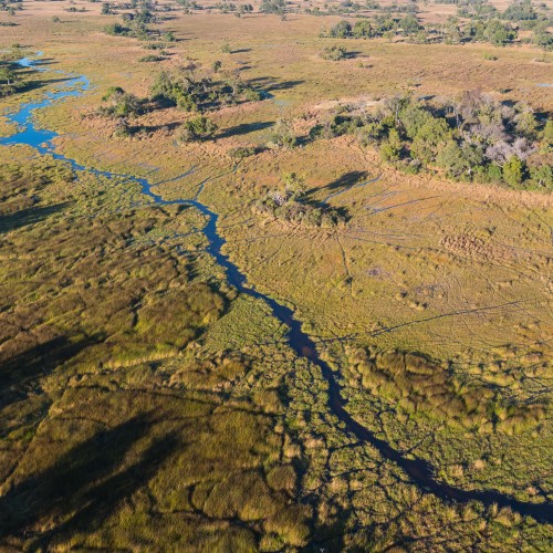 Botswana wild parks