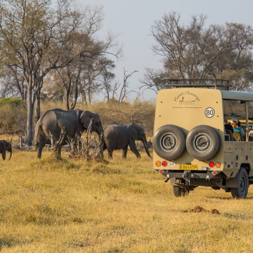 Botswana wild parks