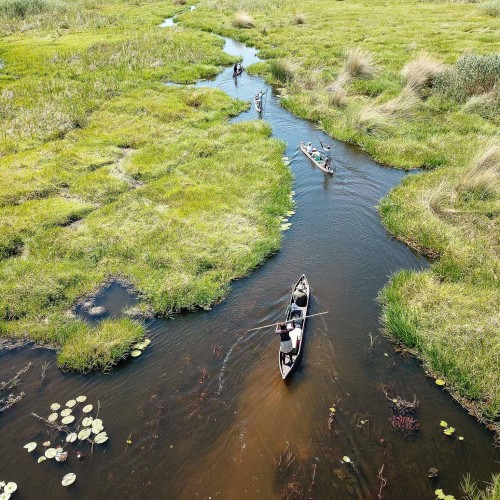 Botswana wild parks