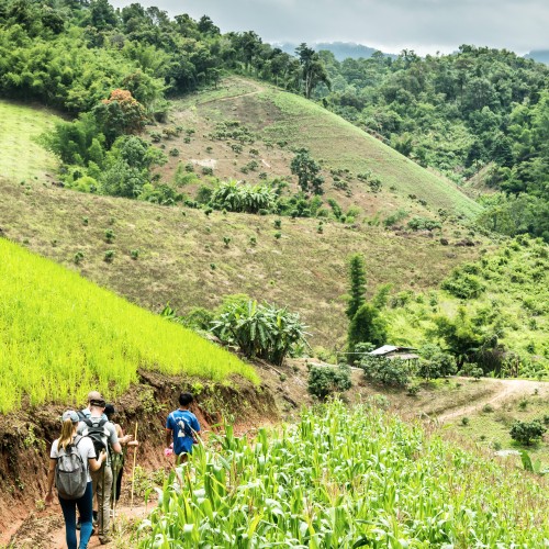 Chang Mai