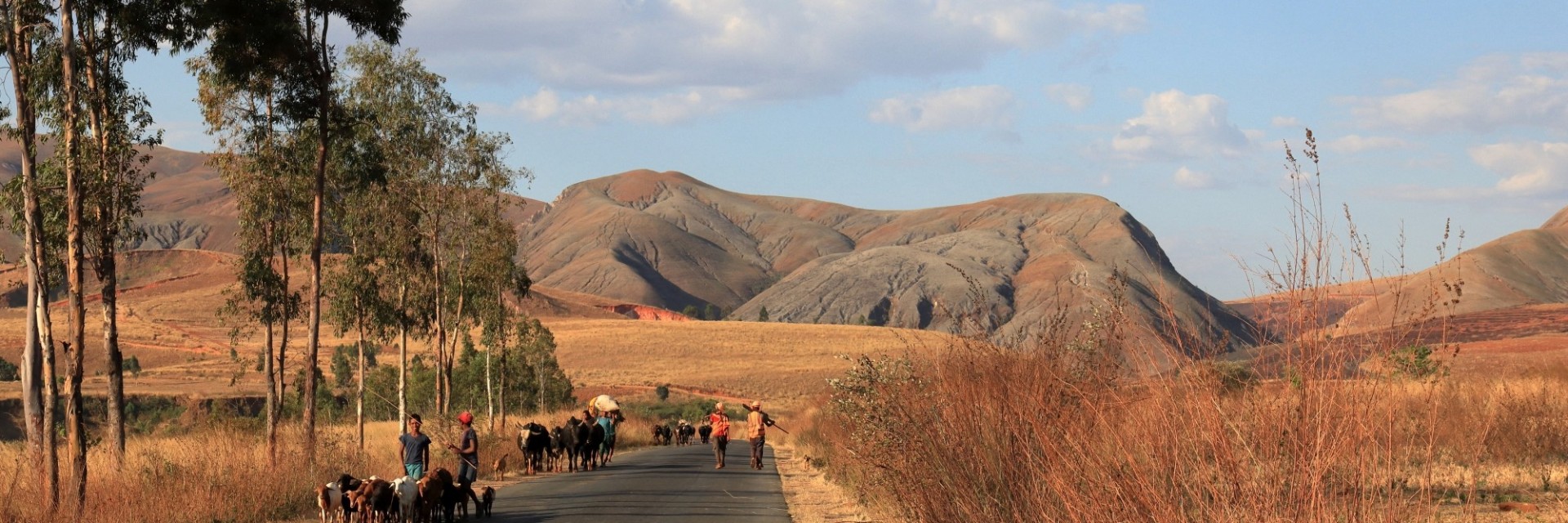 Madagascar