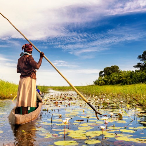 Delta Okawango