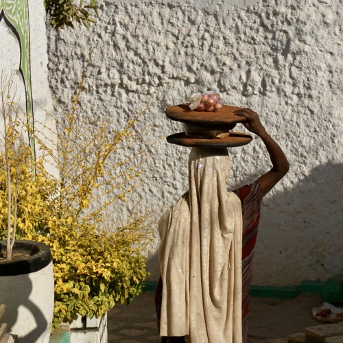 Harar