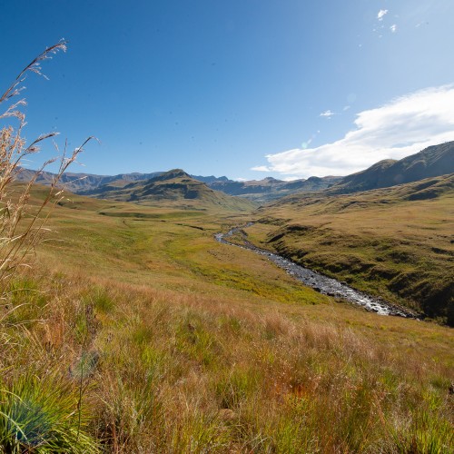 Drakensberg lotheni