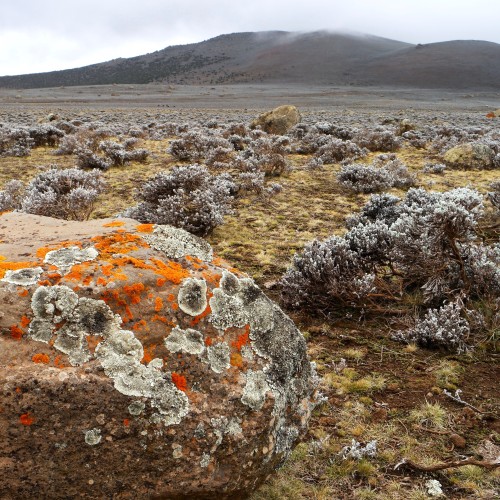 Etiopia Rift