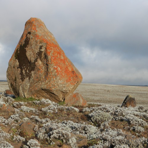 Etiopia Rift