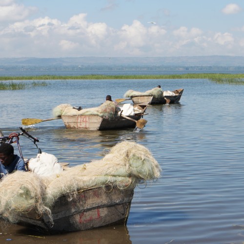 Etiopia Rift