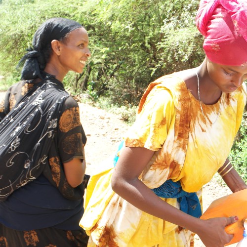 Etiopia Sheik