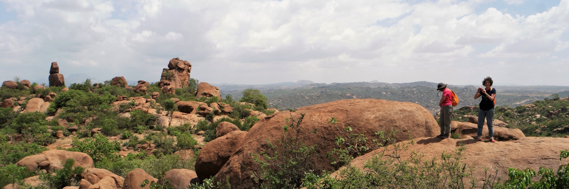 Harar