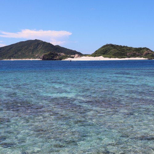 Zamani Island