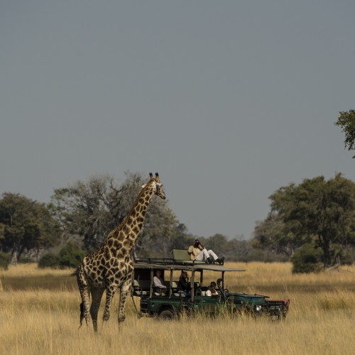 Mapula Reserve