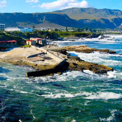 Hermanus