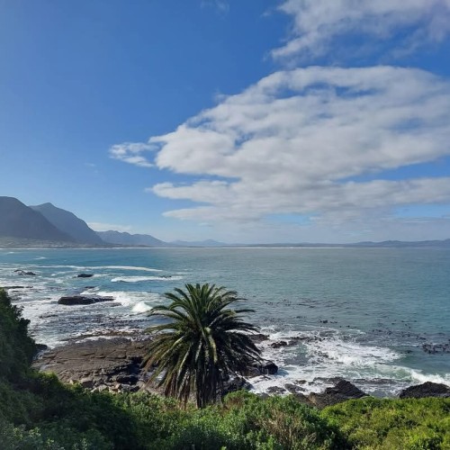 Hermanus