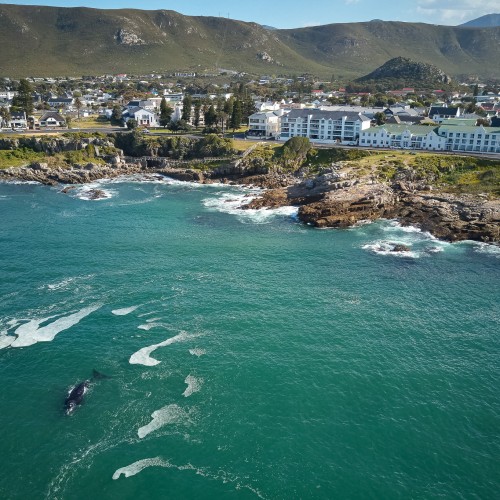 Hermanus windsor hotel