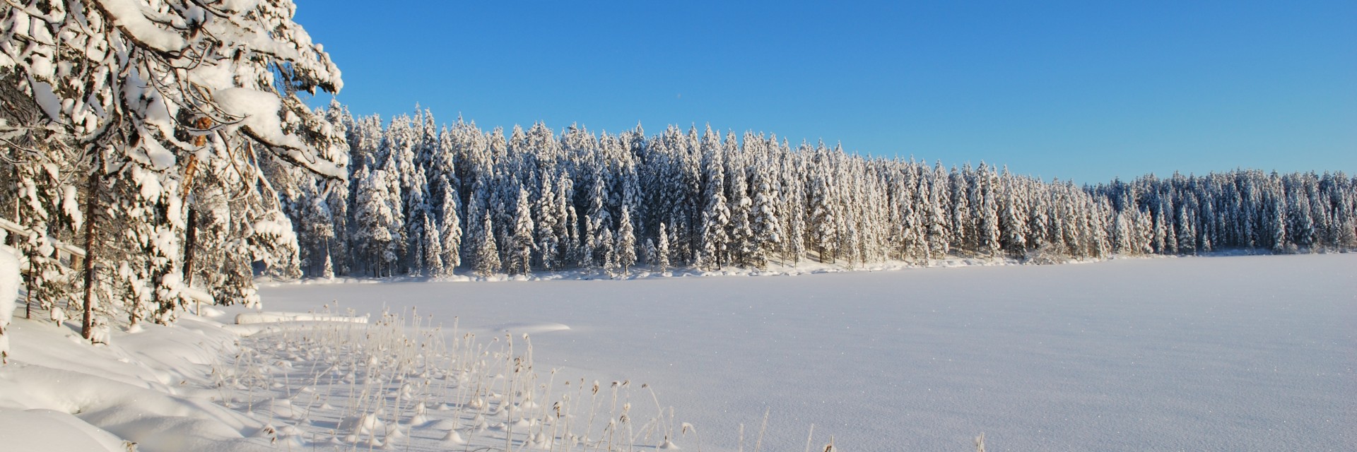 Finlandia