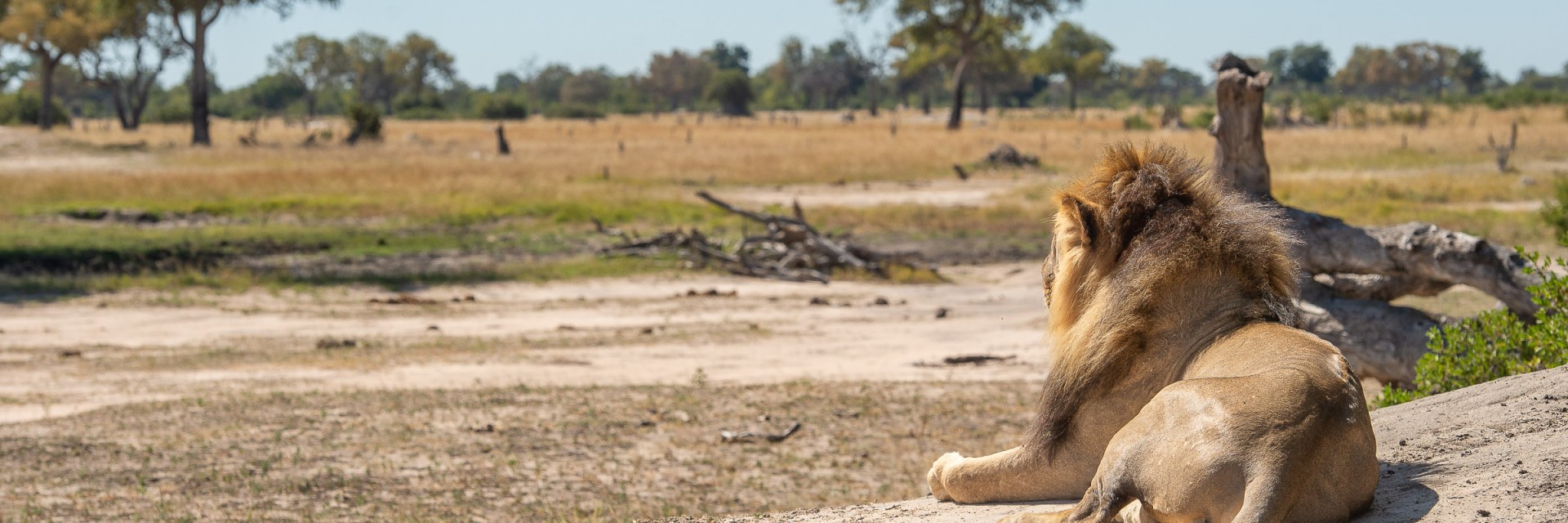 Hwange National Park
