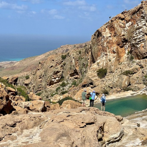 socotra