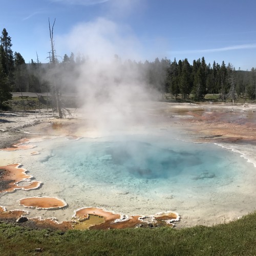 yellowstone